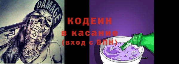 молекула духа Белокуриха
