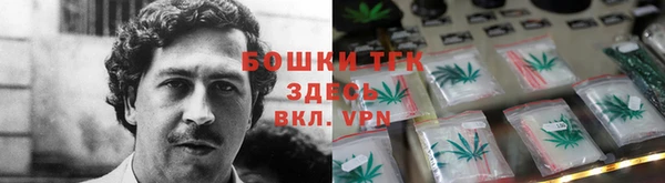 молекула духа Белокуриха