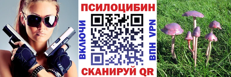Купить  Ростов-на-Дону  Галлюциногенные грибы Psilocybe 